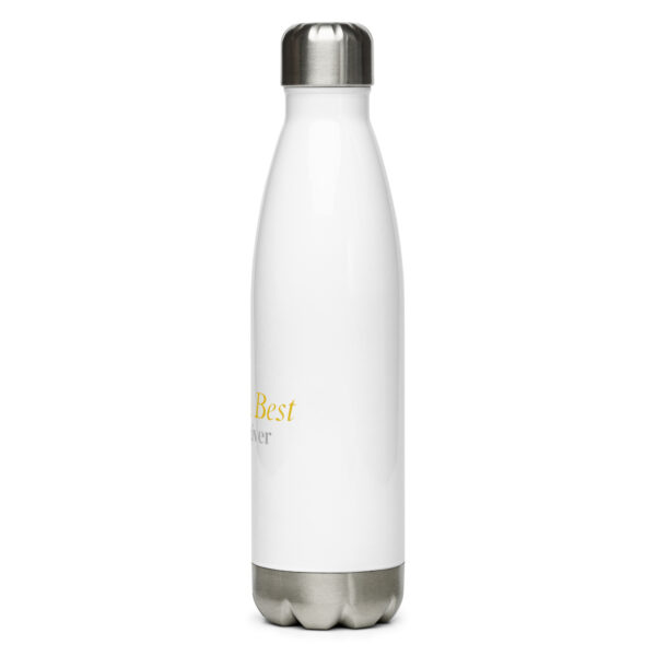 World's Best CAREgiver Stainless steel water bottle - Image 3